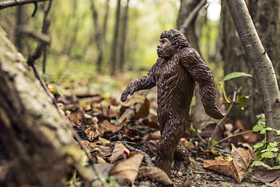 A brown Bigfoot figurine walking through a dense forest with fallen leaves on the ground and trees in the background.