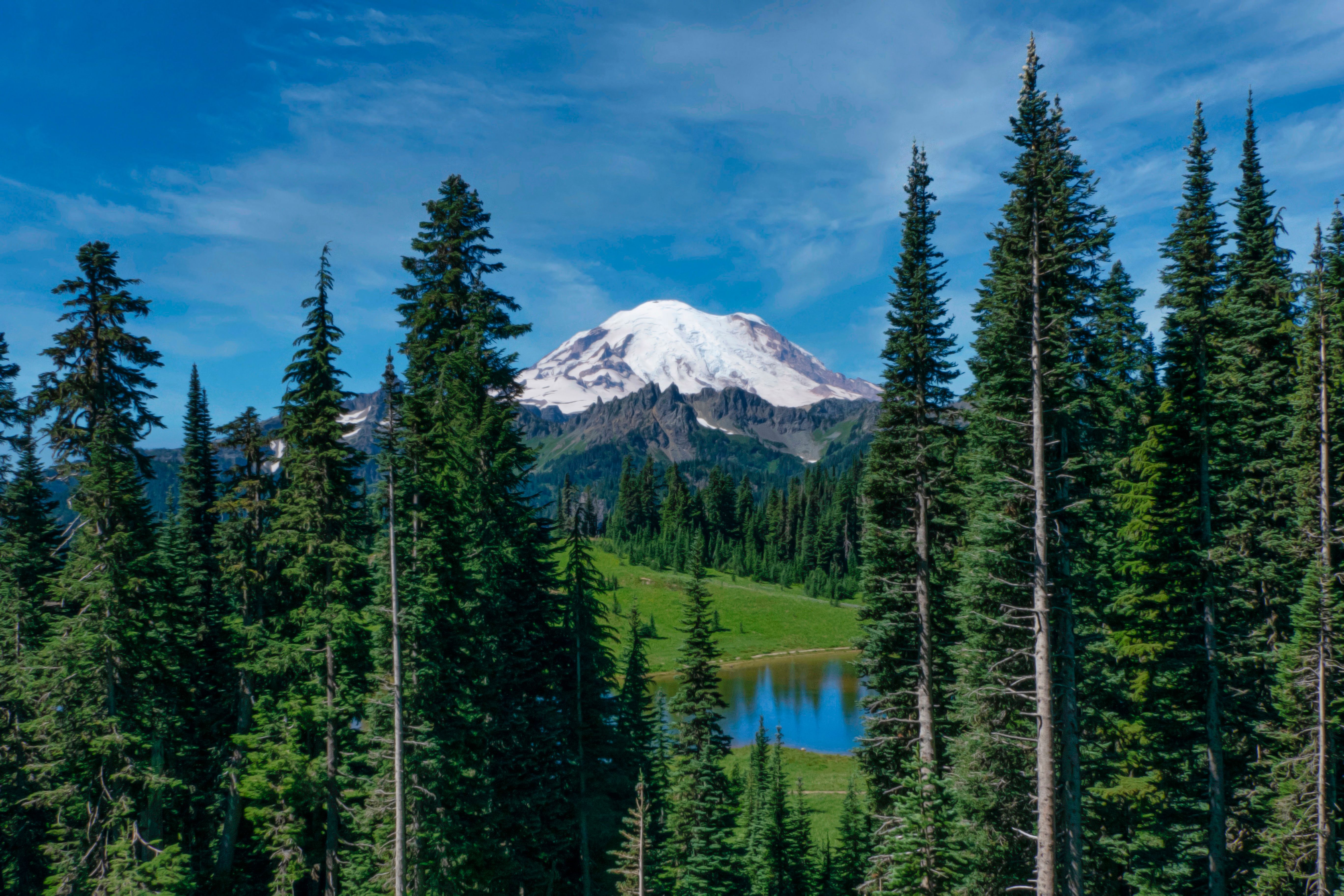 A scenic view of Mount Rainier, a snow-capped mountain, framed by tall evergreen trees, with a small reflective lake and green meadow in the foreground under a bright blue sky.