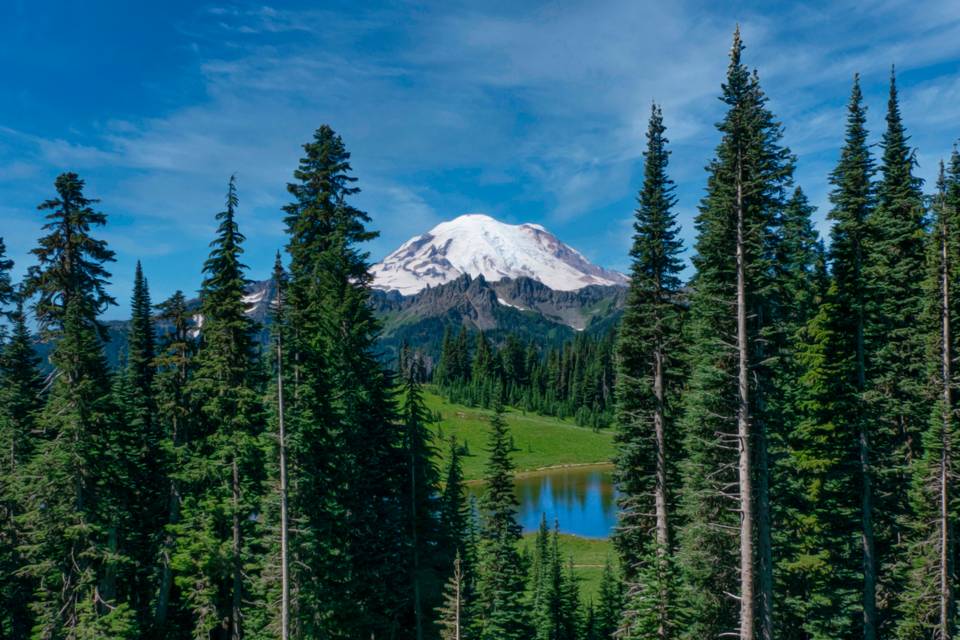 A scenic view of Mount Rainier, a snow-capped mountain, framed by tall evergreen trees, with a small reflective lake and green meadow in the foreground under a bright blue sky.