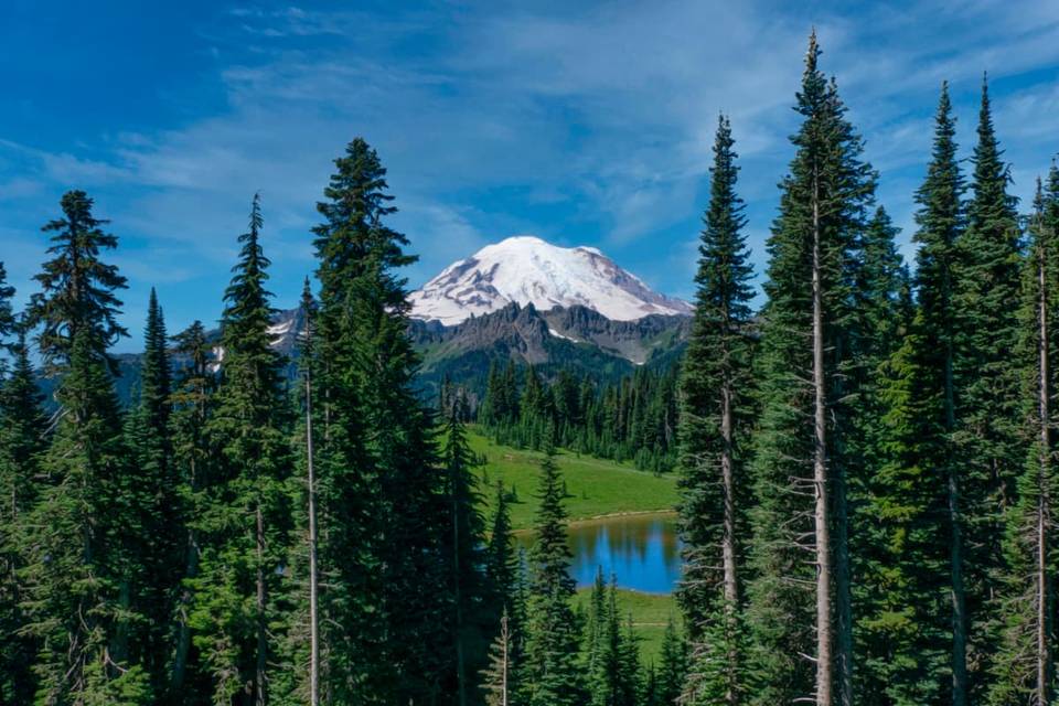 A scenic view of Mount Rainier, a snow-capped mountain, framed by tall evergreen trees, with a small reflective lake and green meadow in the foreground under a bright blue sky.